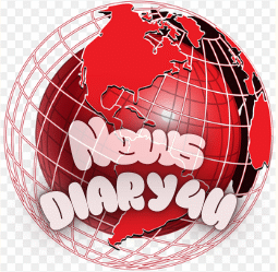 newsdiary4u.com